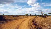 Die Weite Afrikas im Mikumi Park, Tansania